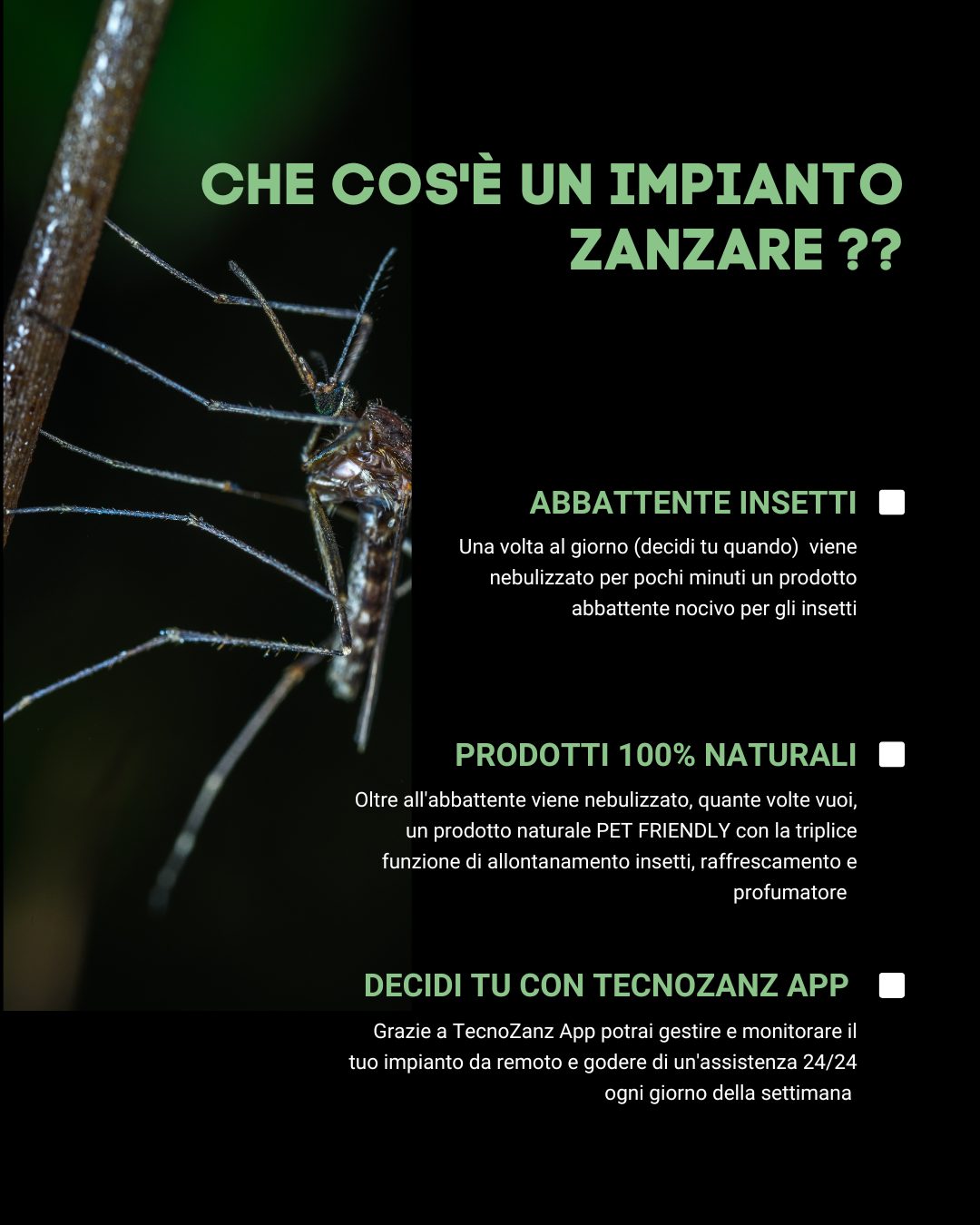 Tecnozanz — impianto antizanzare
